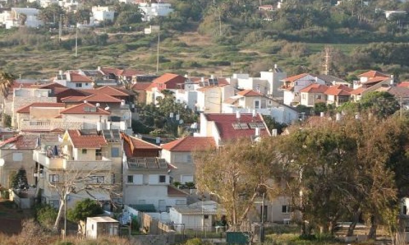 שושנת העמקים. בנו עוד ועוד [צילום: ג'יימס אמרי]