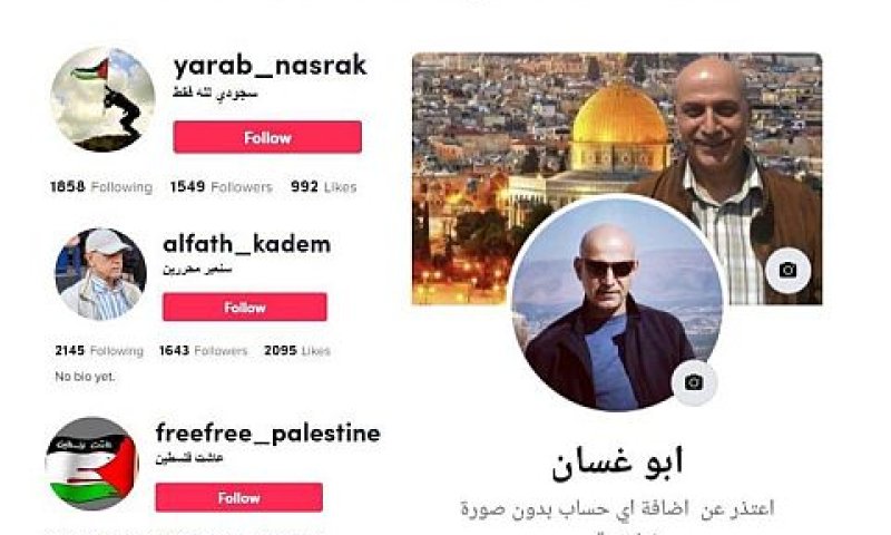הפרופילים של אבו ע'סאן [צילום: תקשורת שב"כ]