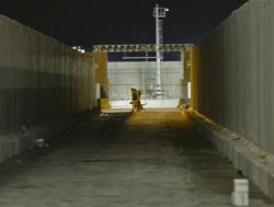 חיילים וכלב גישוש סורקים את המסוף אחר מחבלים נוספים
