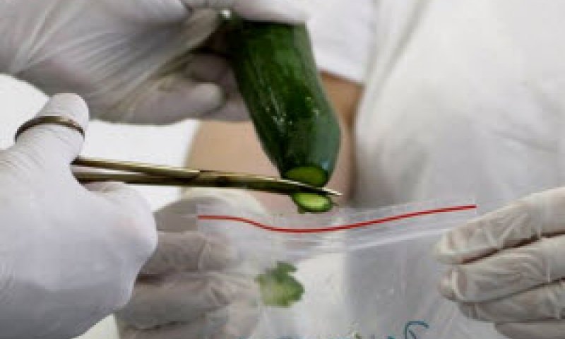 רעיל ביותר [צילום: AP]