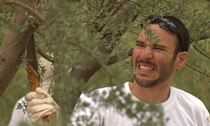 [צילום: ניר זוהר]