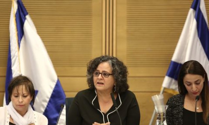 ח"כ תומא סלימאן. נמשיך במהפכה [צילום: נועם ריבקין פנטון, דוברות הכנסת ]