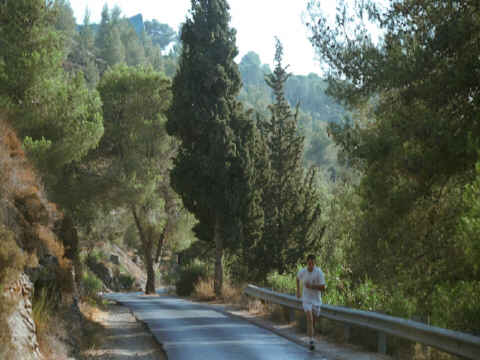 [צילום: פרופ´ ישעיהו ניר]