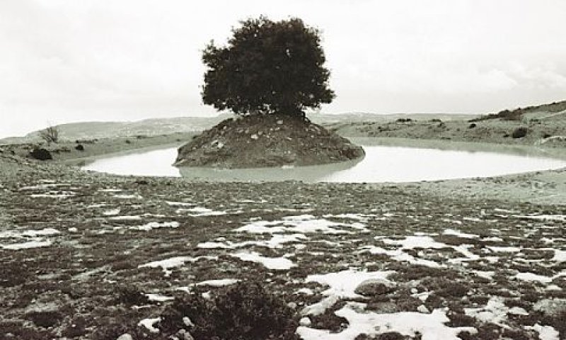 מקום 1: הר מירון בחורף/איתי אמינוף [צילום: יח"צ]