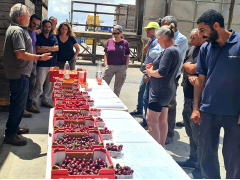 [צילום: עמוס לוין]