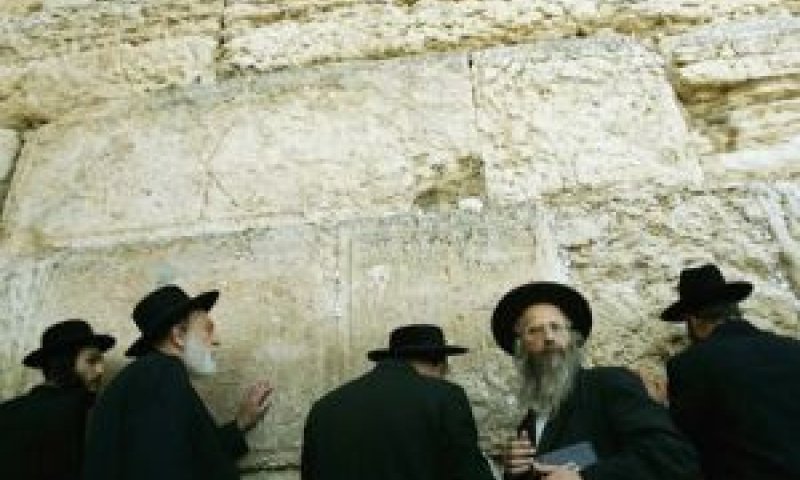 חרדים. הסתה נגדם תיאסר? [AP]