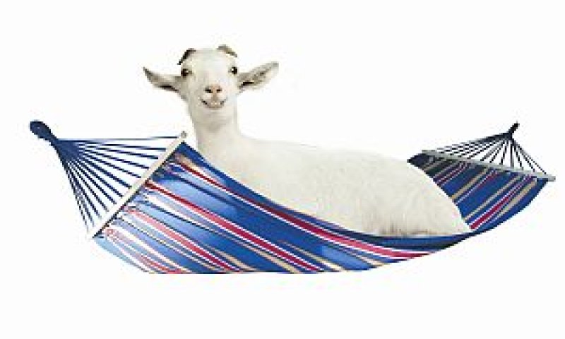 [צילום: יח"צ]