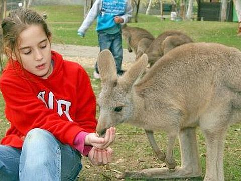 ליהנות בגן גורו [צילום: יח"צ]