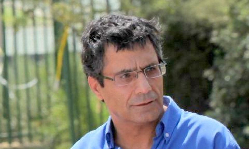 יונה. שלדים בארון [צילום: פלאש 90]