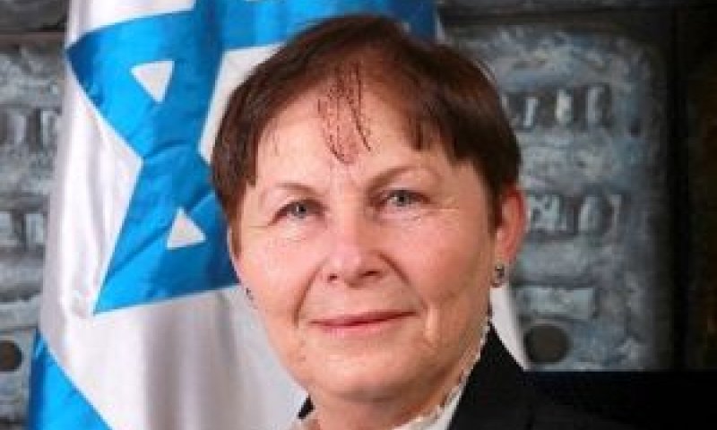 "אתם מחפשים כל דרך מן הגורן ומן היקב לתקוע את התוכנית". השופטת בוסתן [צילום: בוצ&acute;צ&acute;ו]