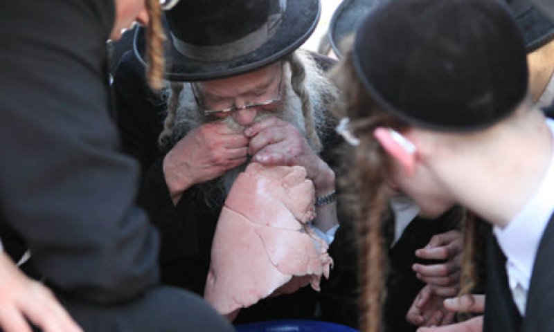 [צילום: יעקב נחומי/פלאש 90]