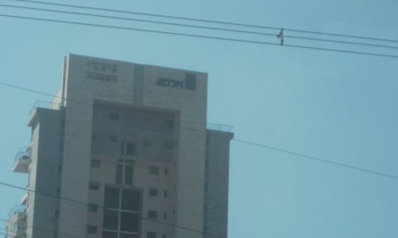 [צילום: איתמר לוין]