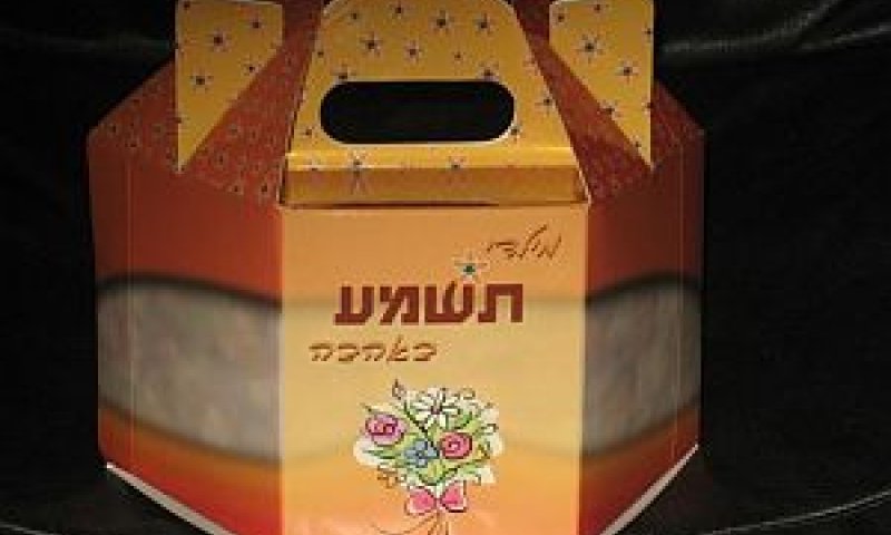 [צילום: יח"צ]