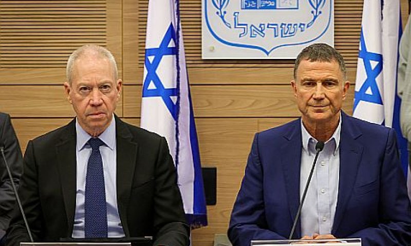 אדלשטיין וגלנט. "סקירה מדאיגה" [צילום: נועם מושקוביץ, דוברות הכנסת]