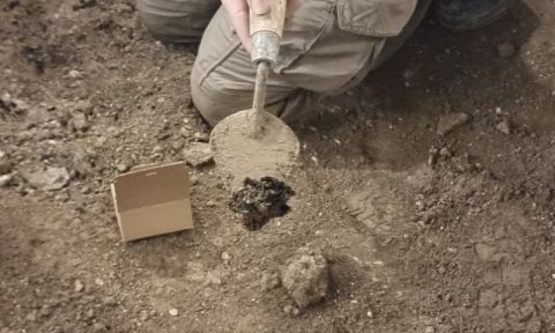 שבבי עץ מפוחמים. נשרפו במהלך השריפה שהתחוללה בחורבן ירושלים [צילום: ארכיון עיר דוד]