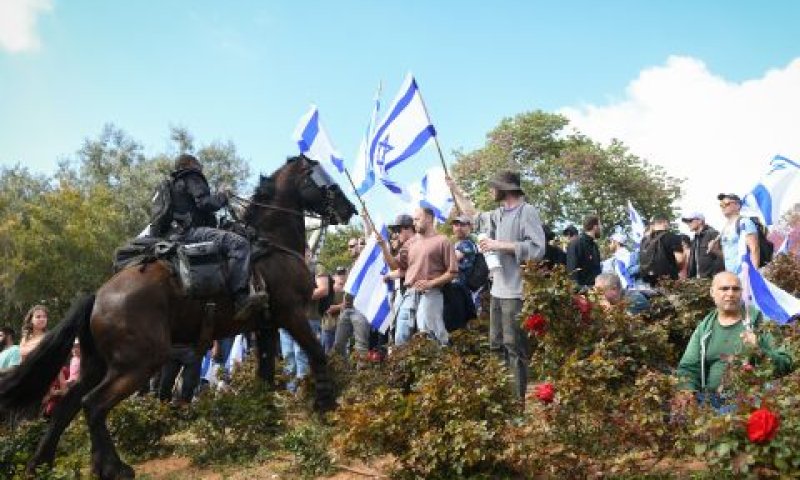 "הסוסים חווים כאב, סבל ותשישות" [צילום אילוסטרציה: אריה אברמס, פלאש 90]
