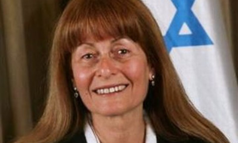 דיסקין. "חריגה לא מידתית"
