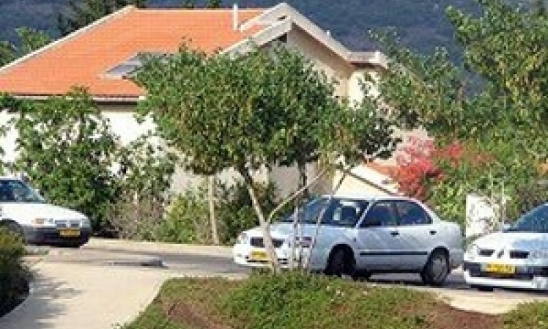 רקפת. כאן הכל התחיל