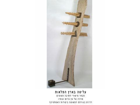 עליסה בארץ הפלאות [צילום: דורון אפרת]