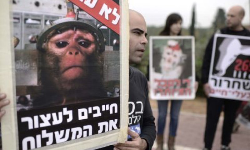הפגנה נגד חוות מזור [צילום: תומר נויברג, פלאש 90]