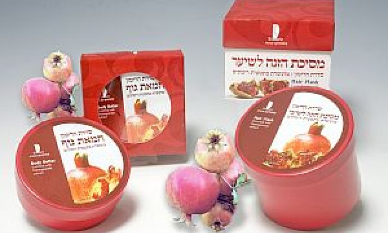 [צילום: דורון גלעד]