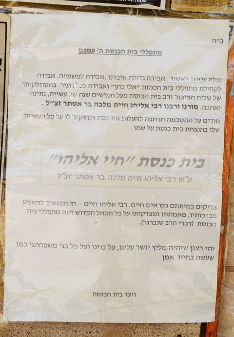 [צילום: אלי סבתי]
