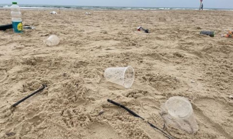 חוף פולג [צילום: פרד ארזורן, המשרד להגנת הסביבה]