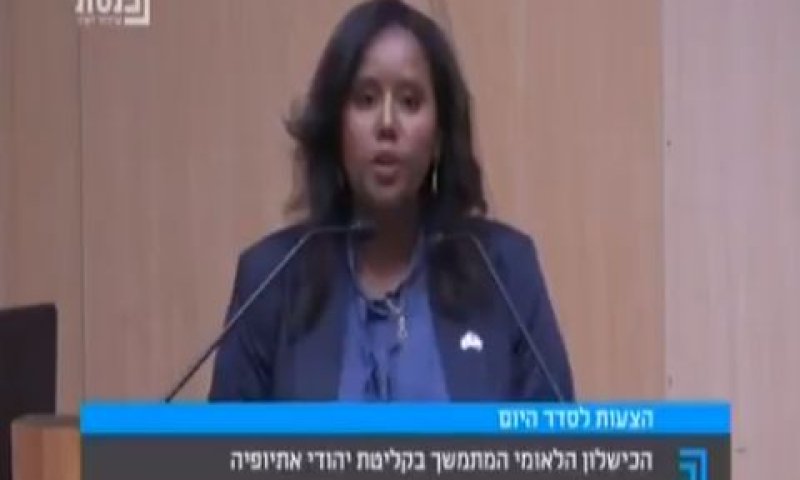 ח"כ תמנו. דורשת ועדה חקירה ממלכתית [צילום: צילום מסך]