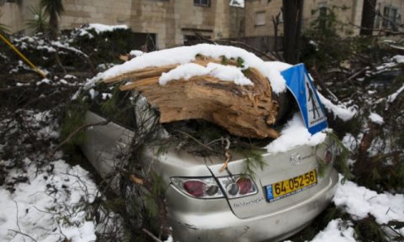 עץ שקרס על מכונית בירושלים [צילום: פלאש 90]