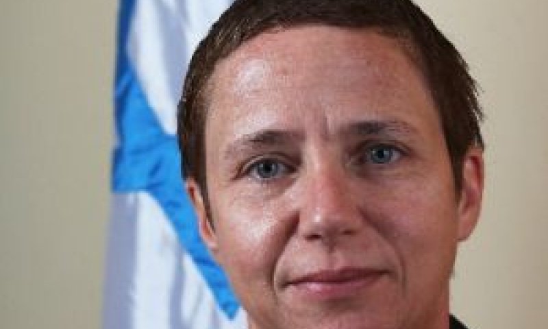 קריספין-אברהם. ההלכה והפסיקה [צילום: בוצ'צ'ו]