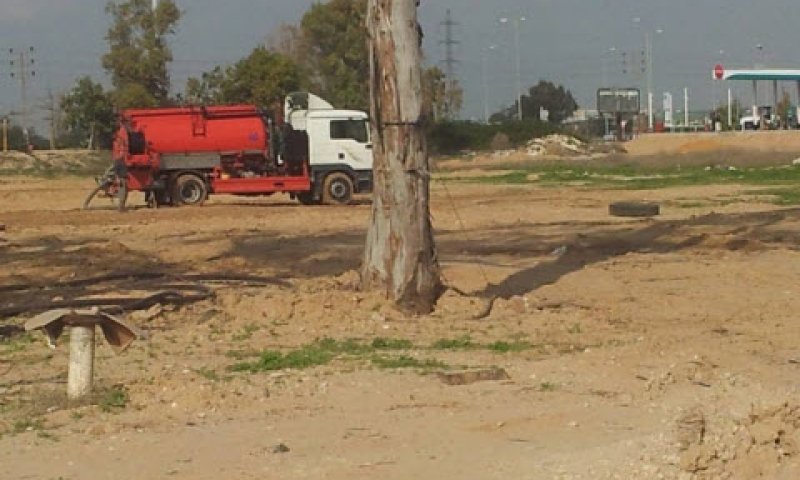 בחצר האחורית [צילום: יח"צ]