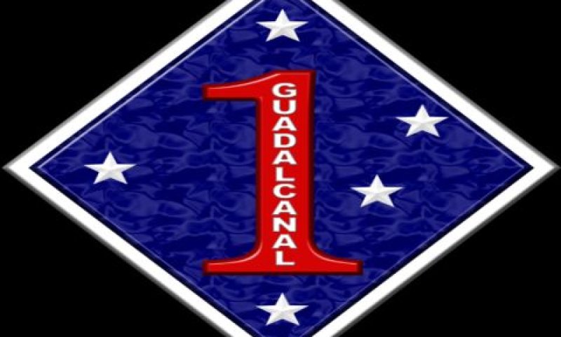 דיוויזיית הנחתים 1 [צילום: United States Marine Corps]