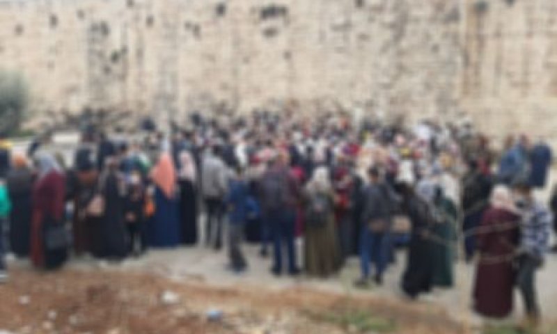 טשטוש המצולמים נעשה ע"י המשטרה [צילום: דוברות המשטרה]