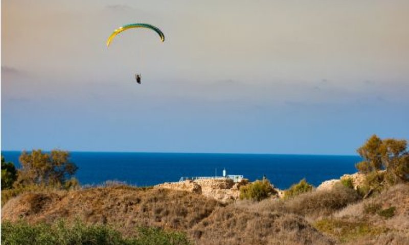 אפולוניה [צילום: נטלי קדוש]