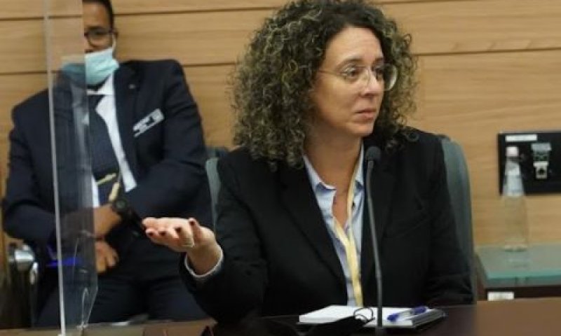 עו"ד בת חן מלכה גרינבלט [צילום: דני שם-טוב/דוברות הכנסת]