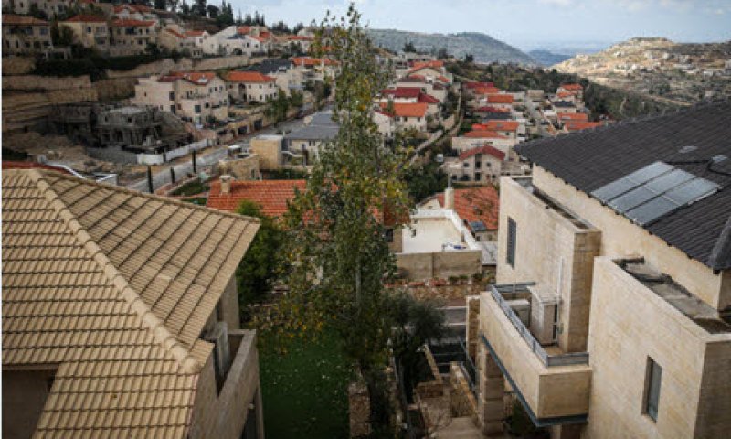 [צילום: נתי שוחט, פלאש 90]
