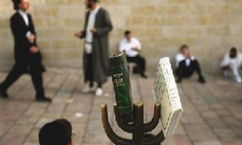 [צילום: AP]