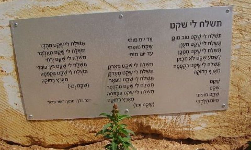 יורשי וולך תובעים