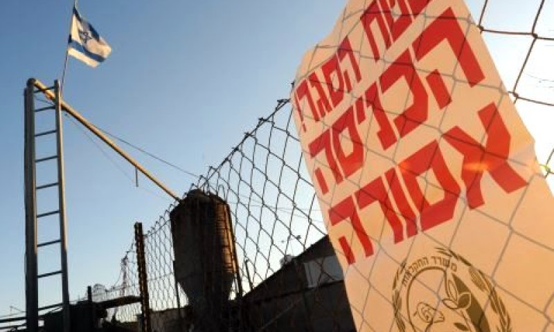 [צילום: פלאש 90]