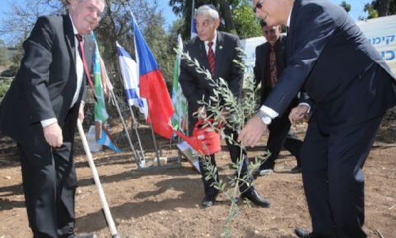 נשיא צ'כיה, מילוש זימן, נוטע עץ יחד עם יו"ר קק"ל, אפי שטנצלר, ביער האומות בהרי ירושלים [צילום: יוסי זמיר, קק"ל]