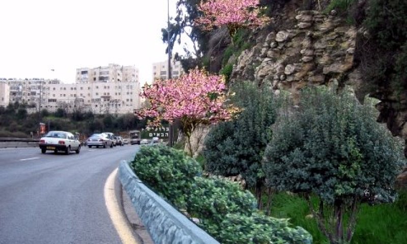 הכניסה לירושלים