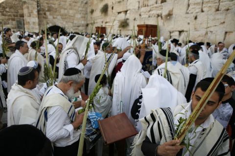 [צילום: פלאש 90]