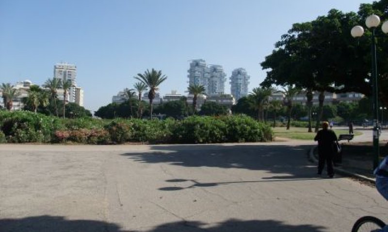 כיכר המדינה. מתחילים ב-2015