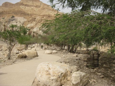 [צילום: רשות הטבע והגנים]