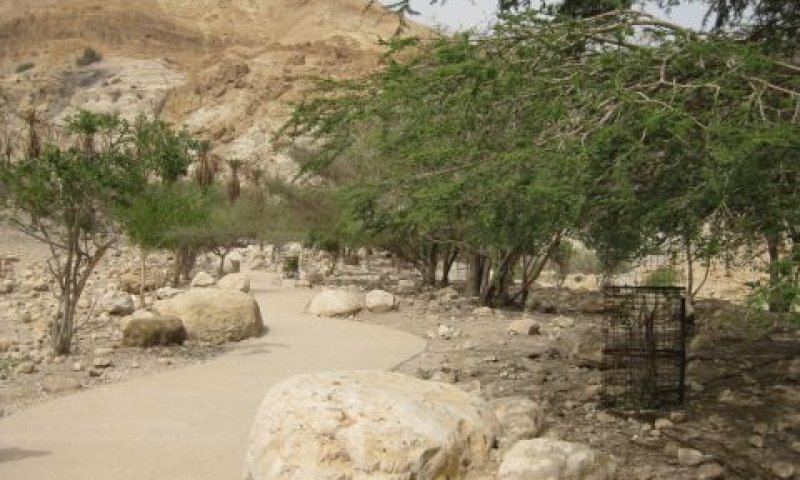 שביל טיול המונגש לבעלי מוגבלויות [צילום: רשות הטבע והגנים]