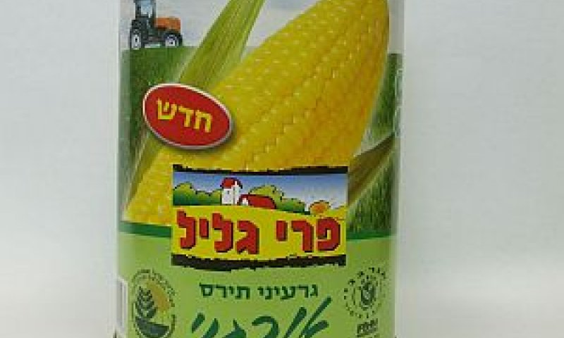 נכנסה לתחום הירקות האורגניים [צילום: איל פישר]