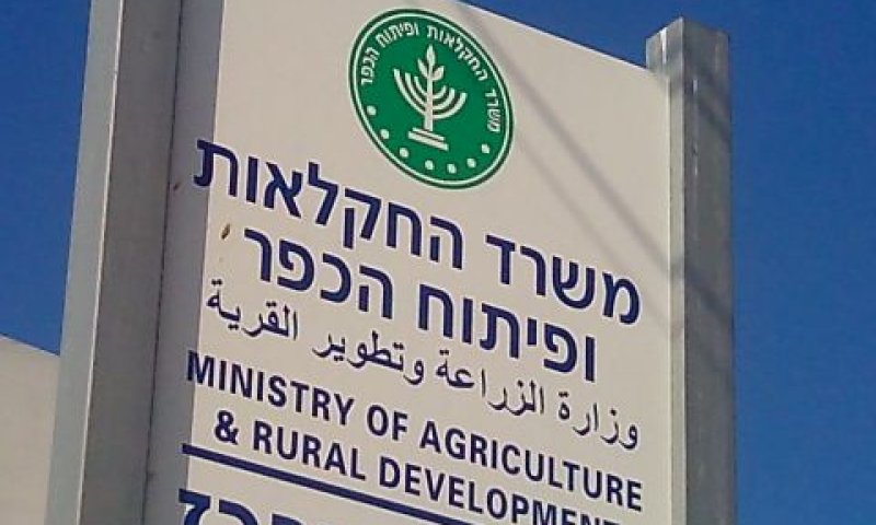 [צילום: איתמר לוין]