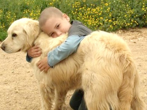 טל שטרית [צילום: עופר שטרית]
