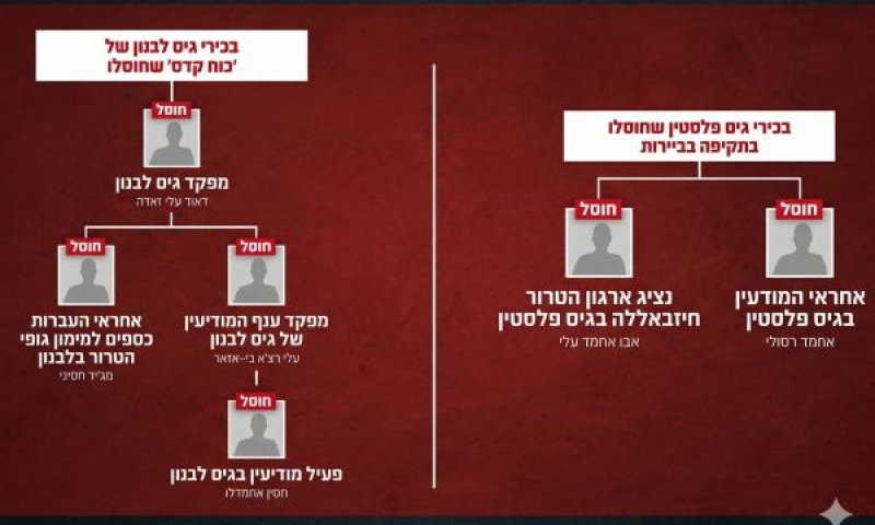 סדרה של בכירים חוסלו [צילום: דובר צה"ל]