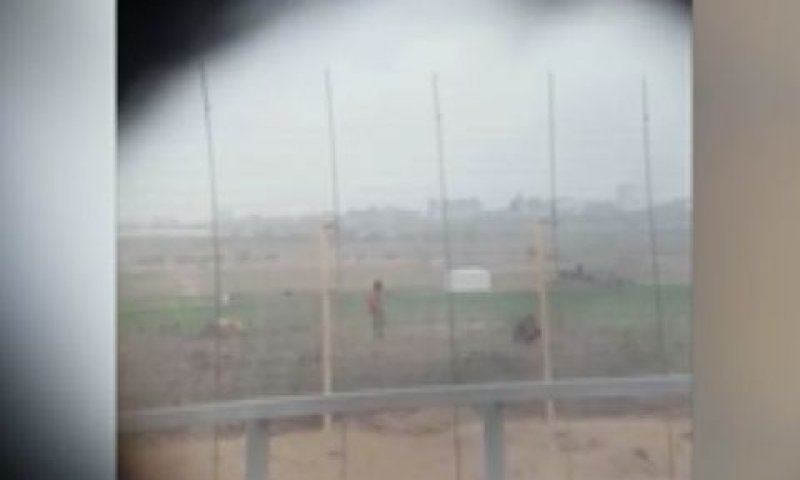"קריאות השמחה אינן במקום"